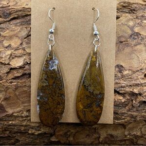 Earth Tone 3D Swirled Agate Dangle Hook Tear Drop Earrings